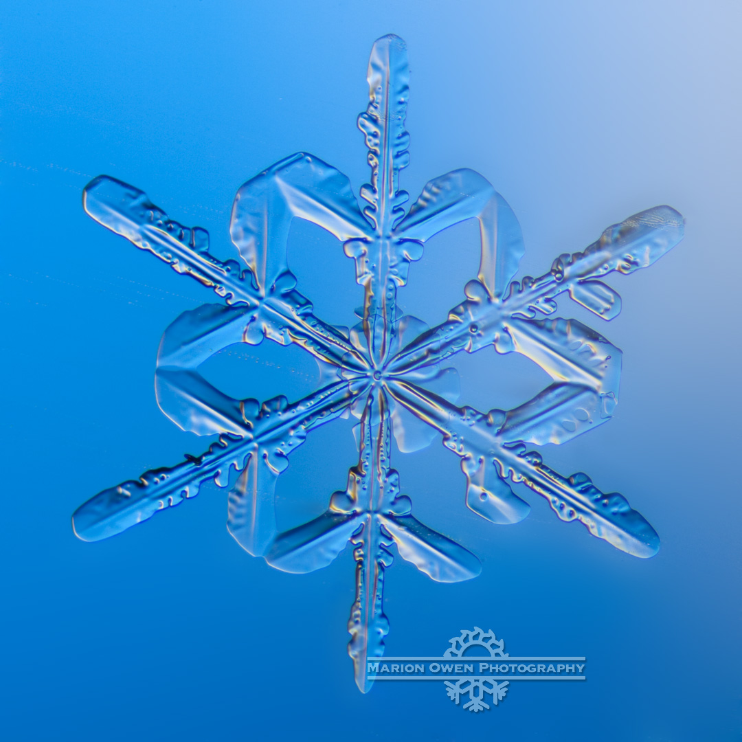 Snowflake, snow crystal, winter, ice, snow, photograph, macro, Kodiak, Alaska, cold
