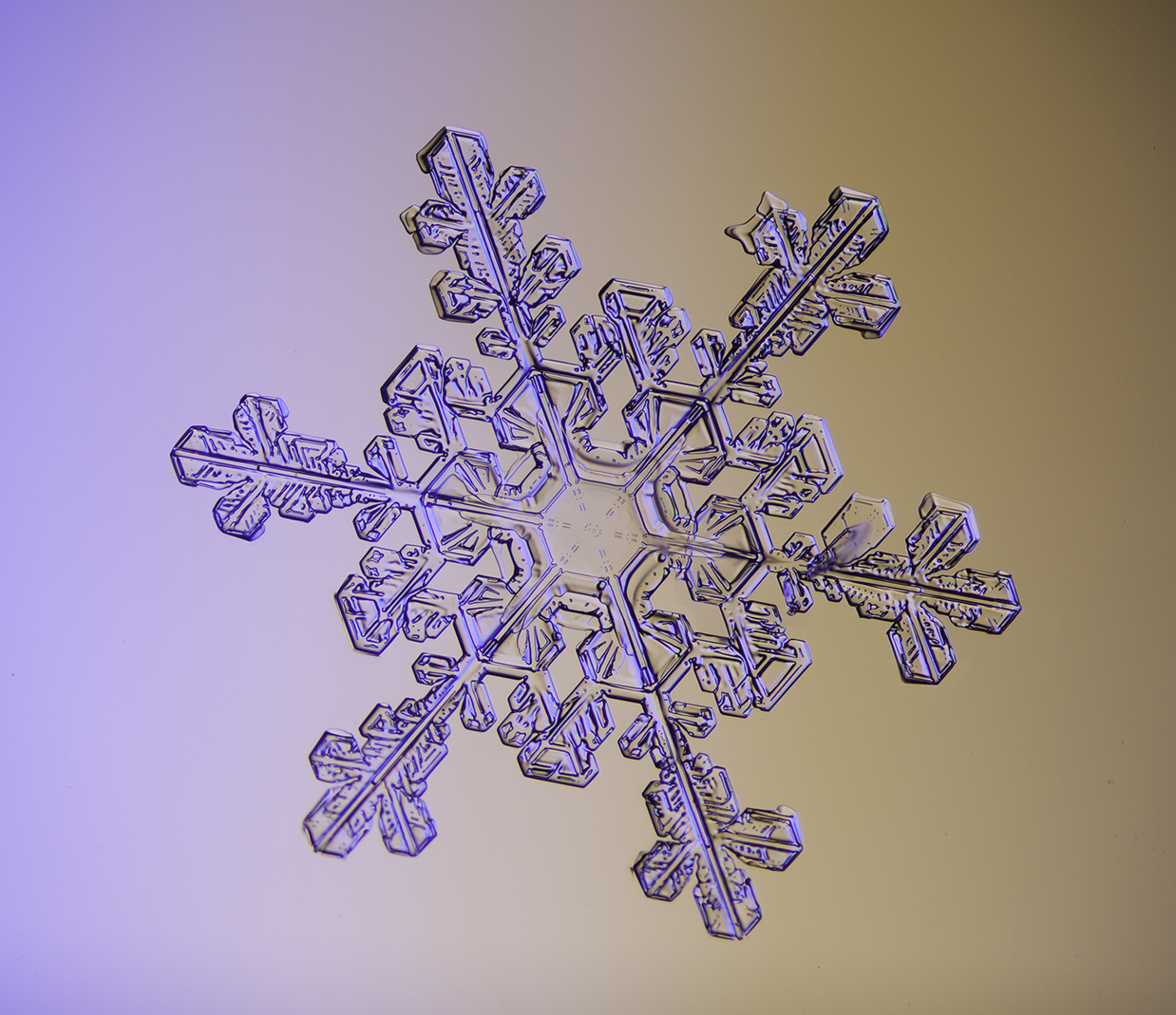 img_6701-6702 snowflake
