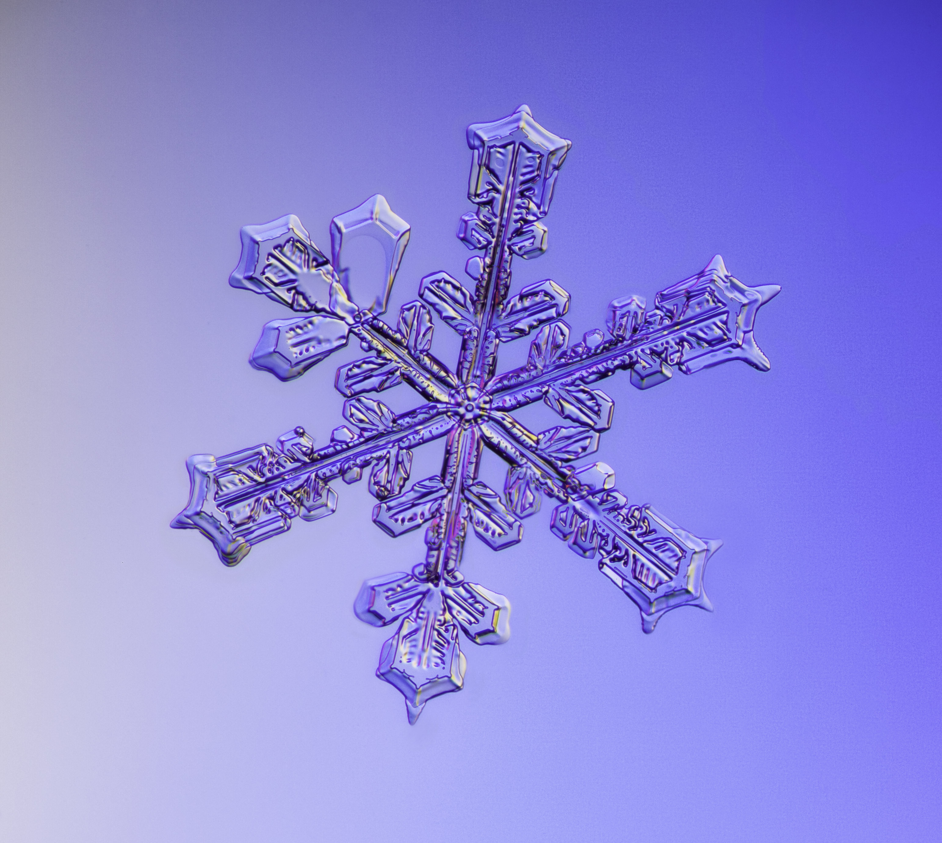 img_6909-6904-snowflake